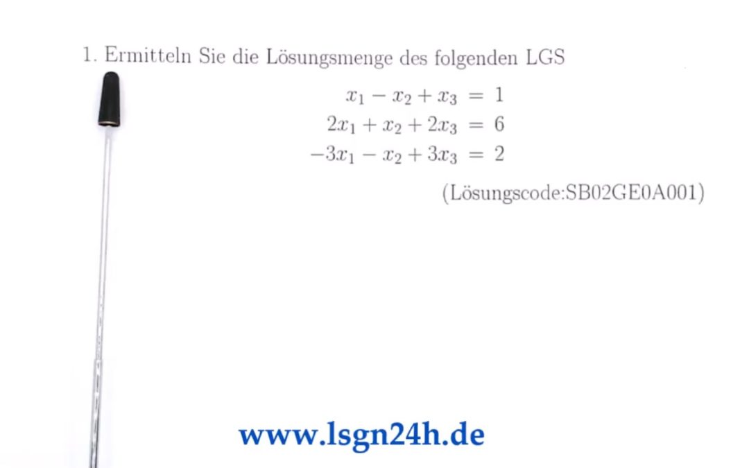 Wie lautet die Lösungsmenge des $(3,3)$-LGS?