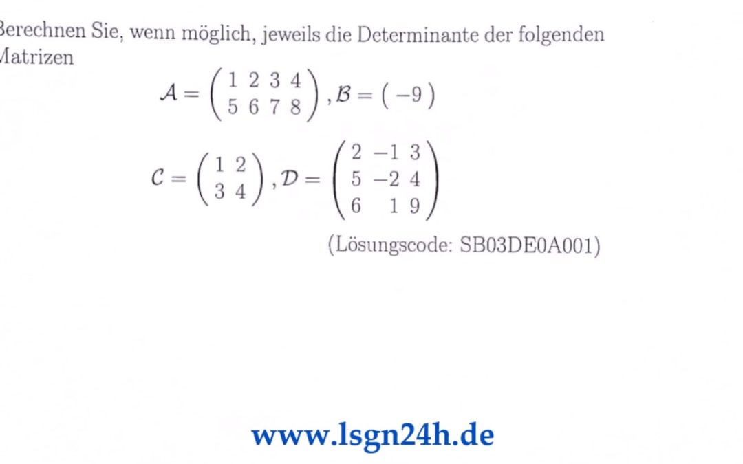 Welche Werte besitzen die Determinanten der Matrizen?