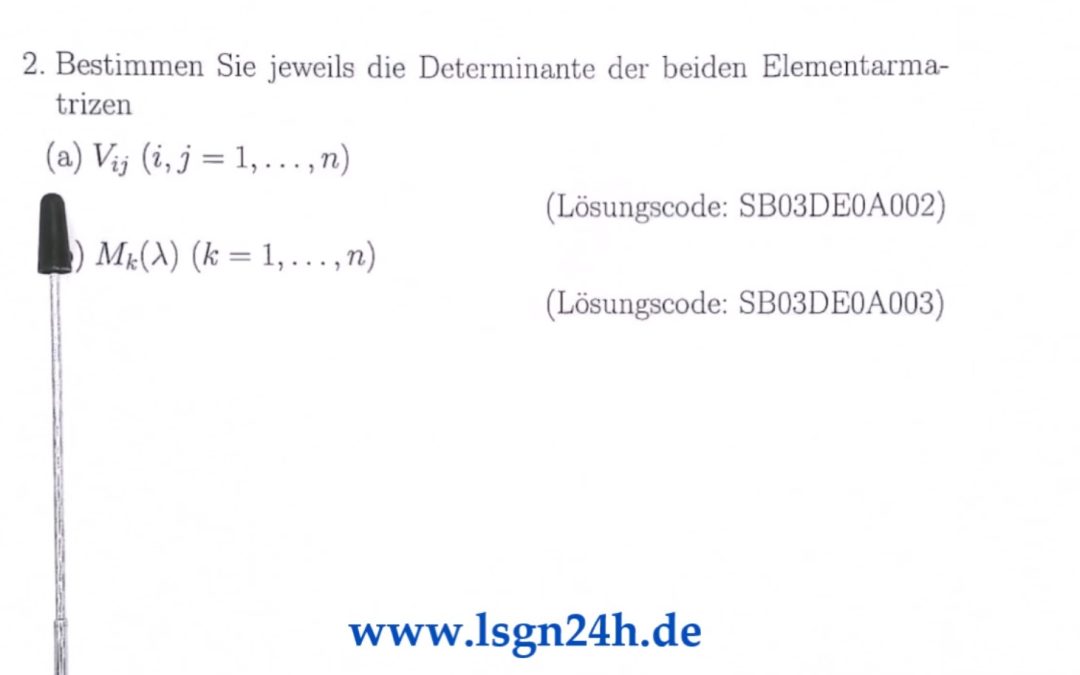 Welche Determinante besitzt die Vertauschungsmatrix $V_{ij}$?