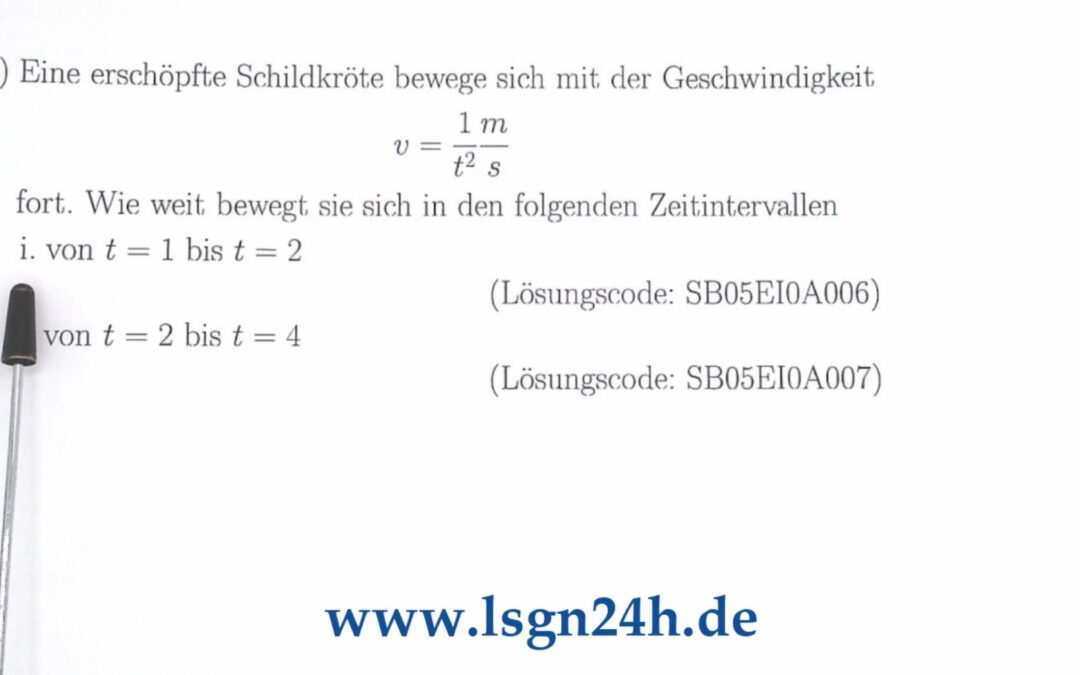 Wie weit wandert die müde Schildkröte?
