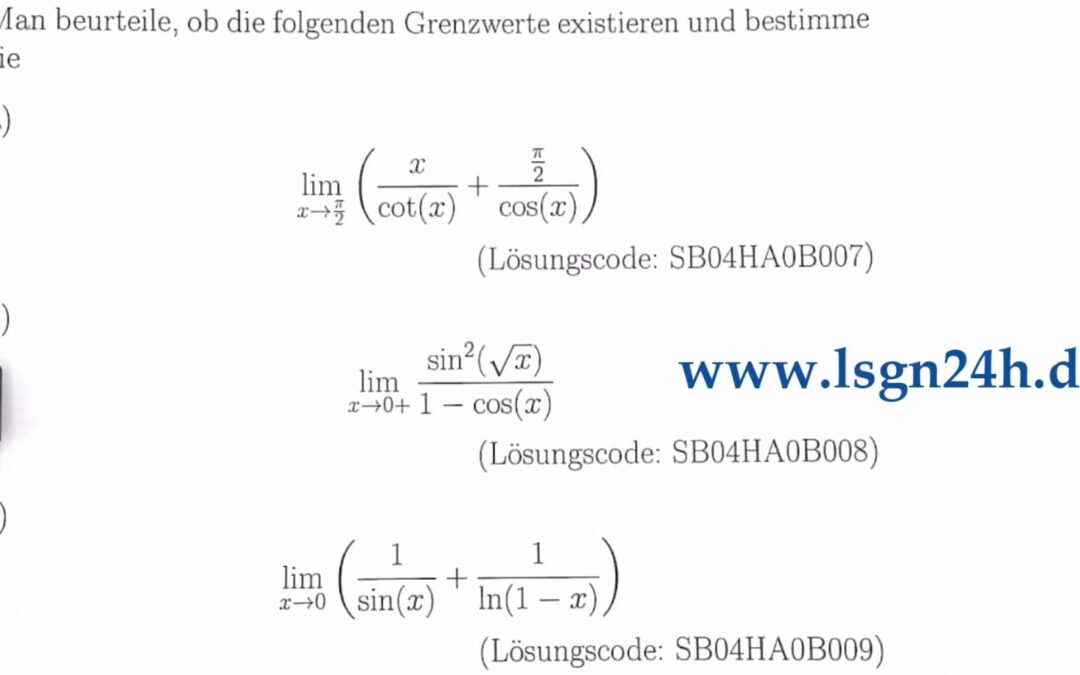 Existiert dieser Grenzwert? (2 von 5)